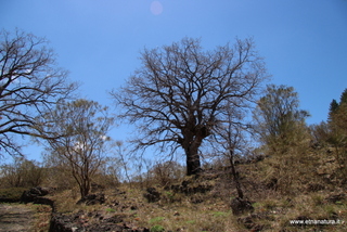 nte Egitto-29-04-2023 11-15-26